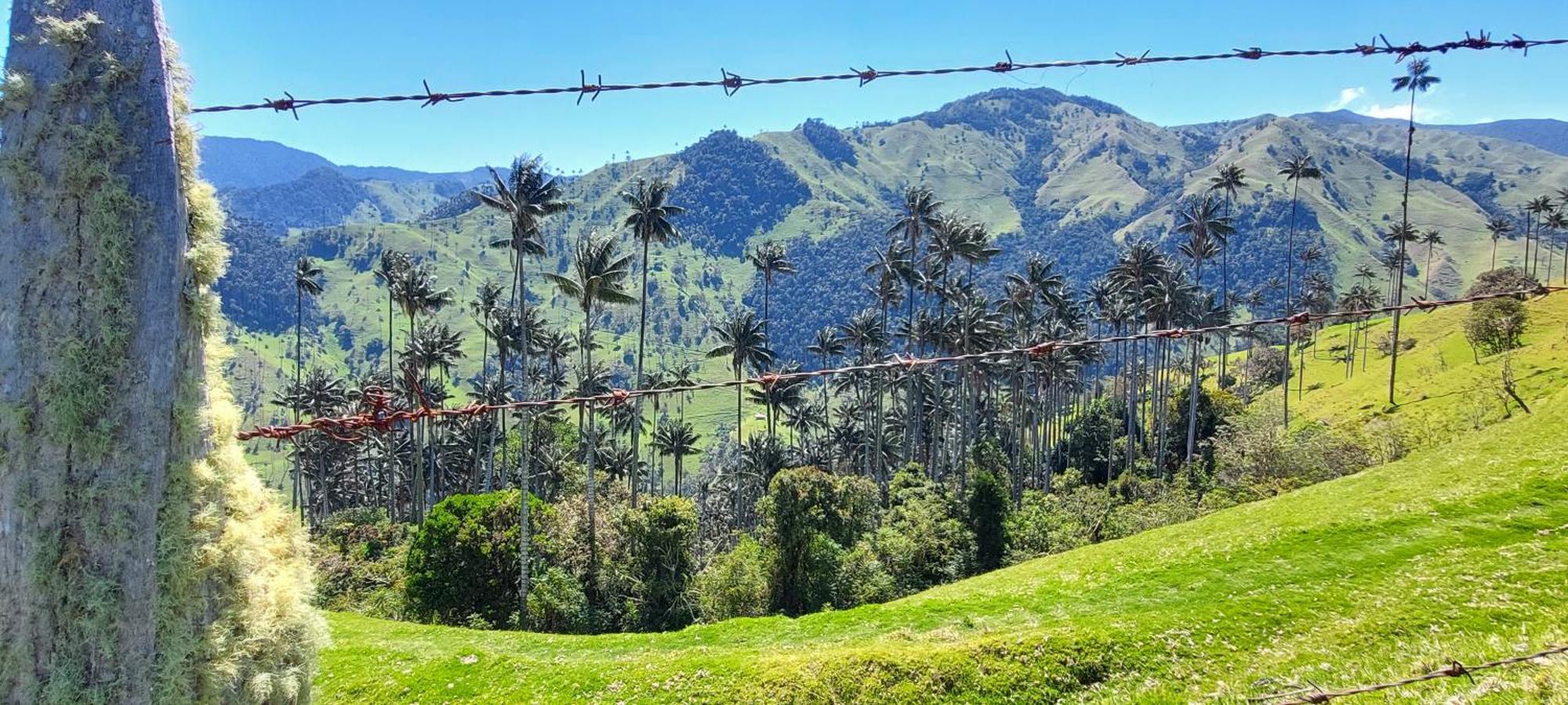 Reserva Guadalajara - Cocora Valley Salento Exterior photo